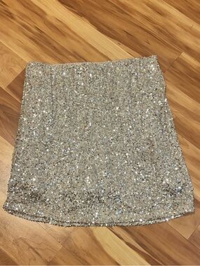 Tullea Sequin Mini Skirt - Champagne Silver Sparkle Size Large
